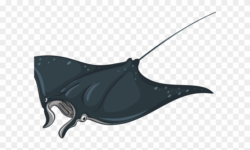 Realistic Clipart Stingray - Stingray Clipart - Png Download