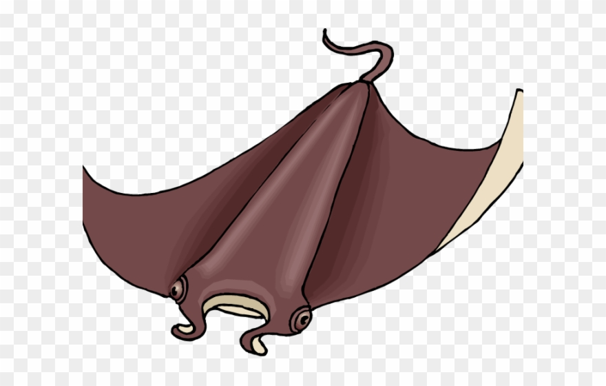 Stingray Clipart Angry - Sting Ray Clipart Png Transparent Png