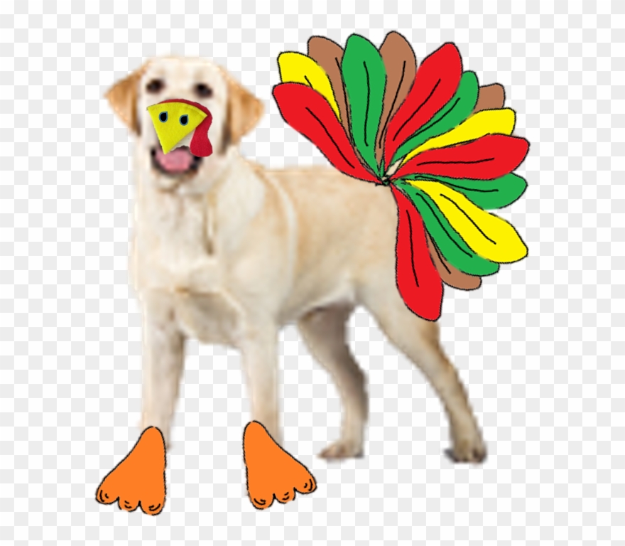 Thanksgiving Break Is November 22-24 - Dog Catches Something Clipart