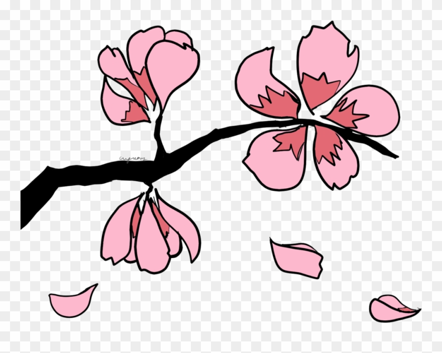 Sakura Clipart Collection - Dibujo Rama De Sakura - Png Download