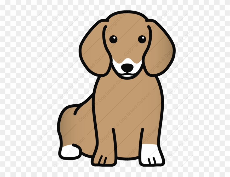 Edition Dog Breed Cartoon Download Your - Dachshund Clipart