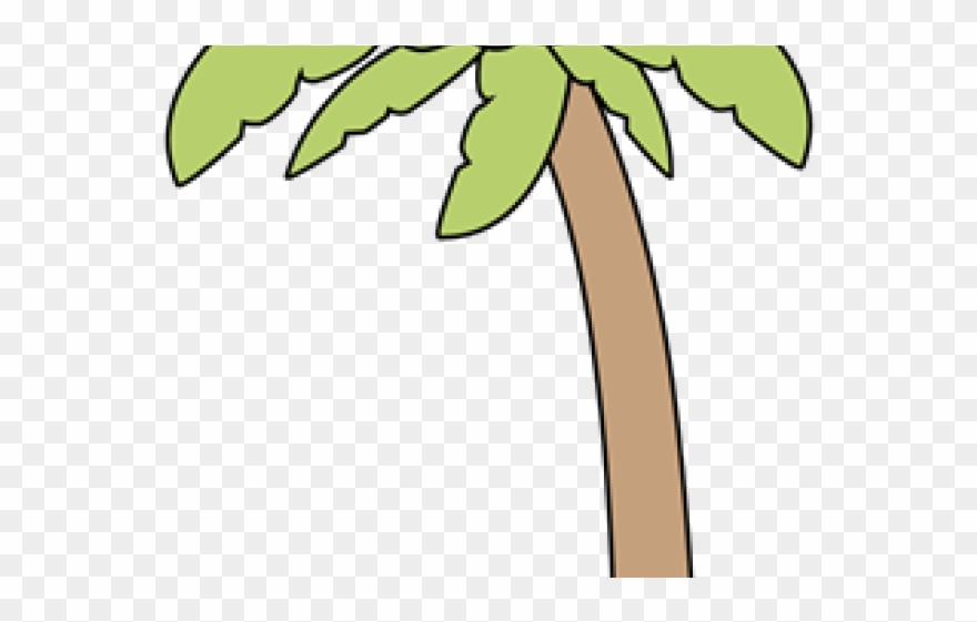 Palm Tree Clipart Plam Tree - Palm Trees - Png Download