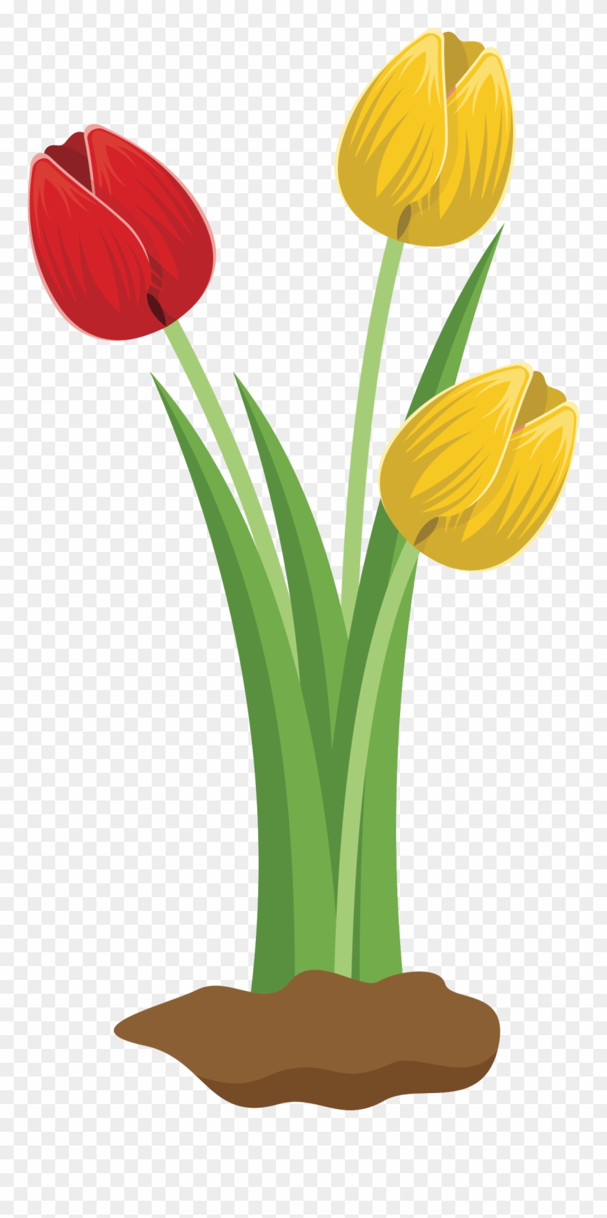Big Image - Tulips Flower Clipart - Png Download