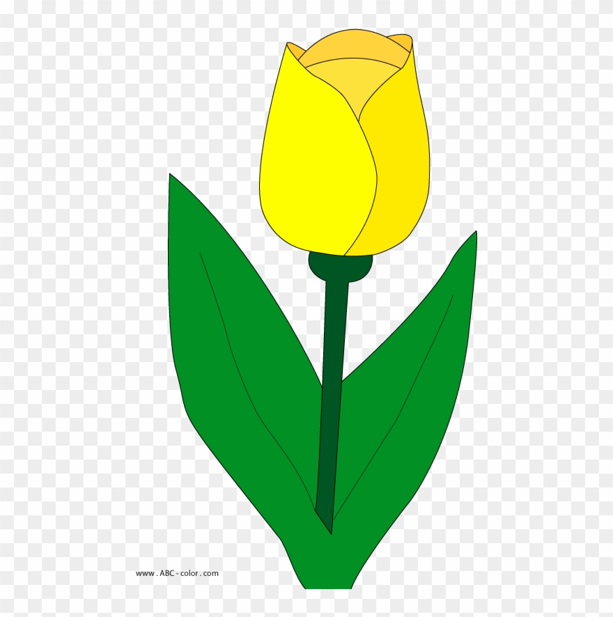 Leaves Clipart Tulip - Tulip - Png Download