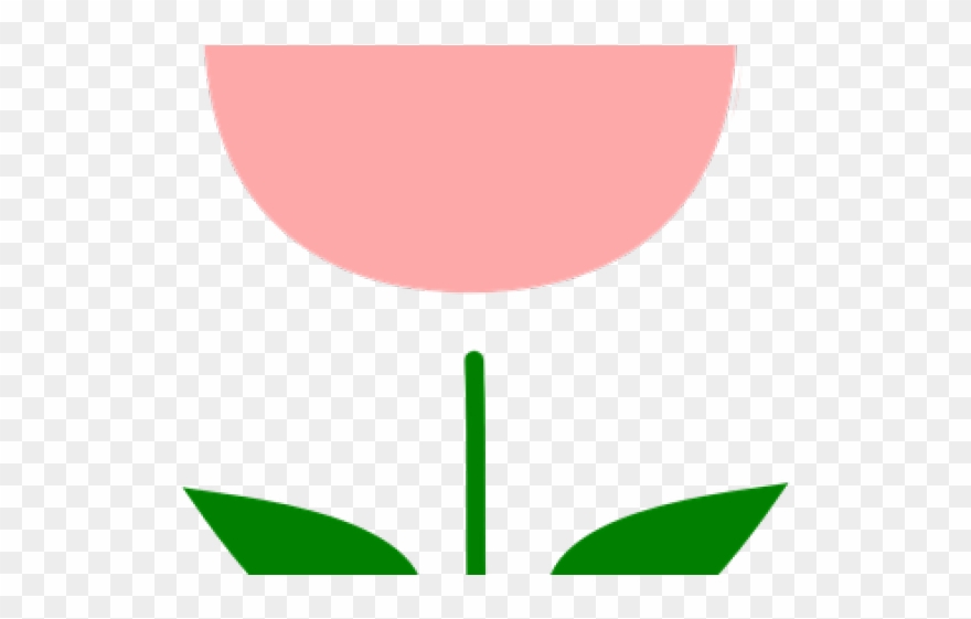 Tulip Clipart Tulip Bud - Png Download