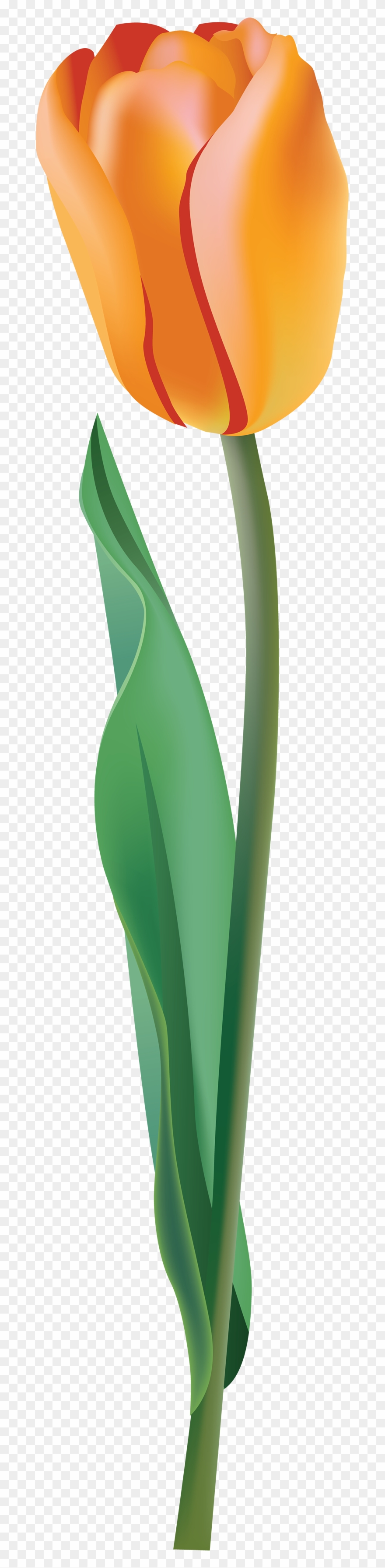 Yellow Tulip Cliparts - Yellow Tulip In Clipart Png Transparent Png