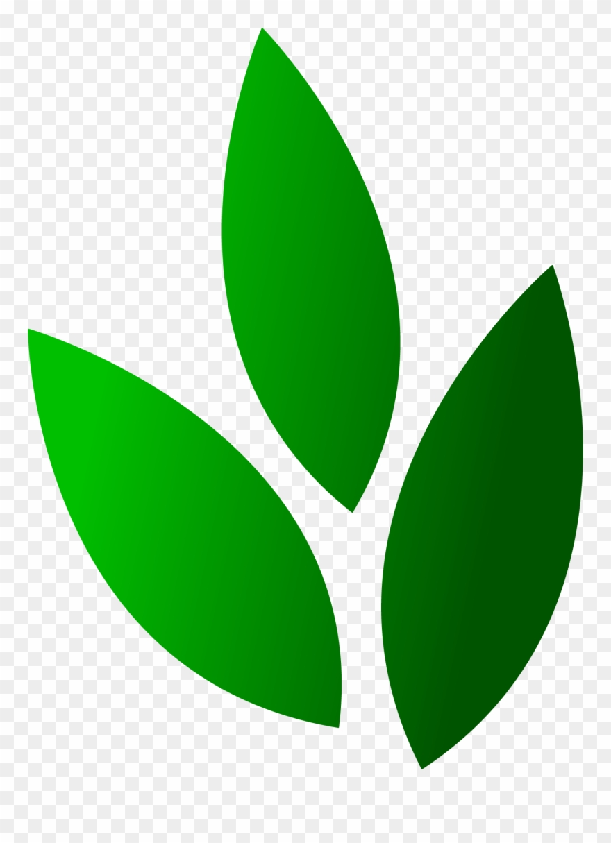 Springhill Landscaping Llc Clipart