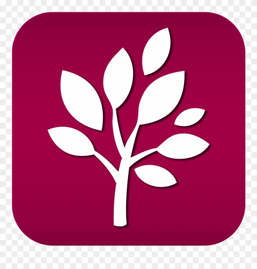 Loyola's Campus Landscapes Are Award Winning Locations - Tree Icon Clipart