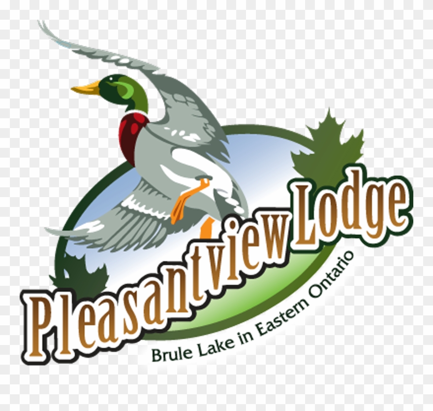 Pleasantview Lodge Plevna, Ontario - Mallard Clipart