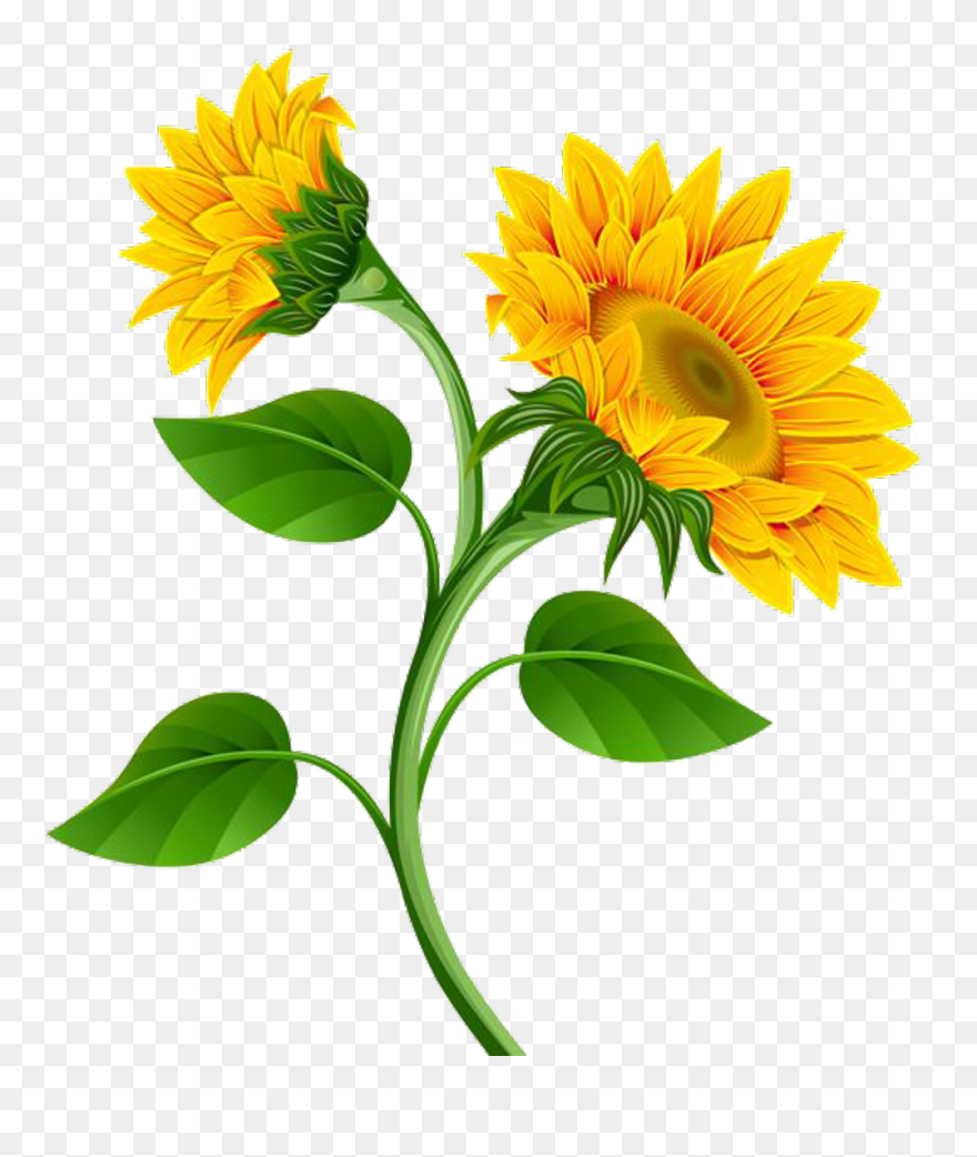 Garland Clipart Marigold - Sunflower Flower Clip Art - Png Download