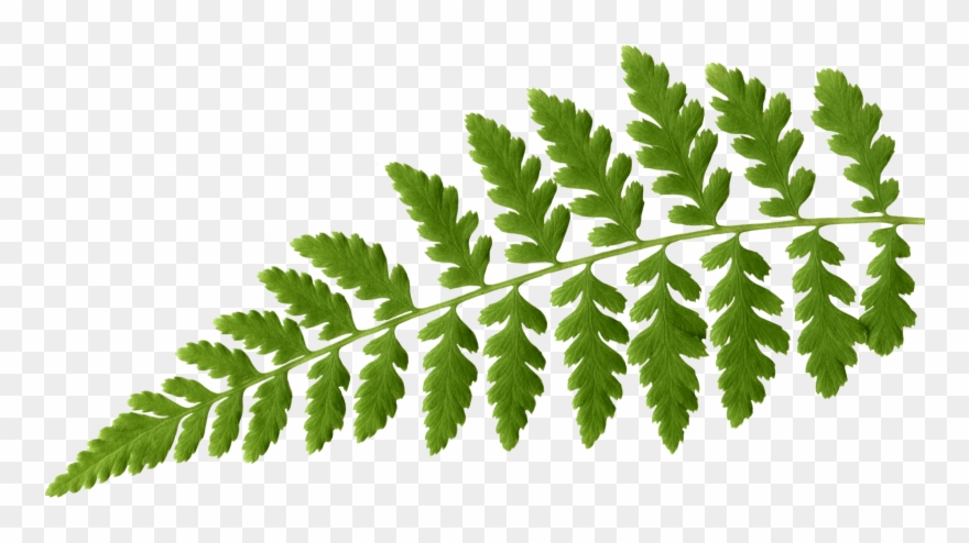 Dynamic Menus That Change With The Seasons - Illustration Clipart