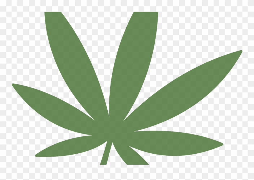 A Story About Two Dispensary Owners - Illustration Clipart