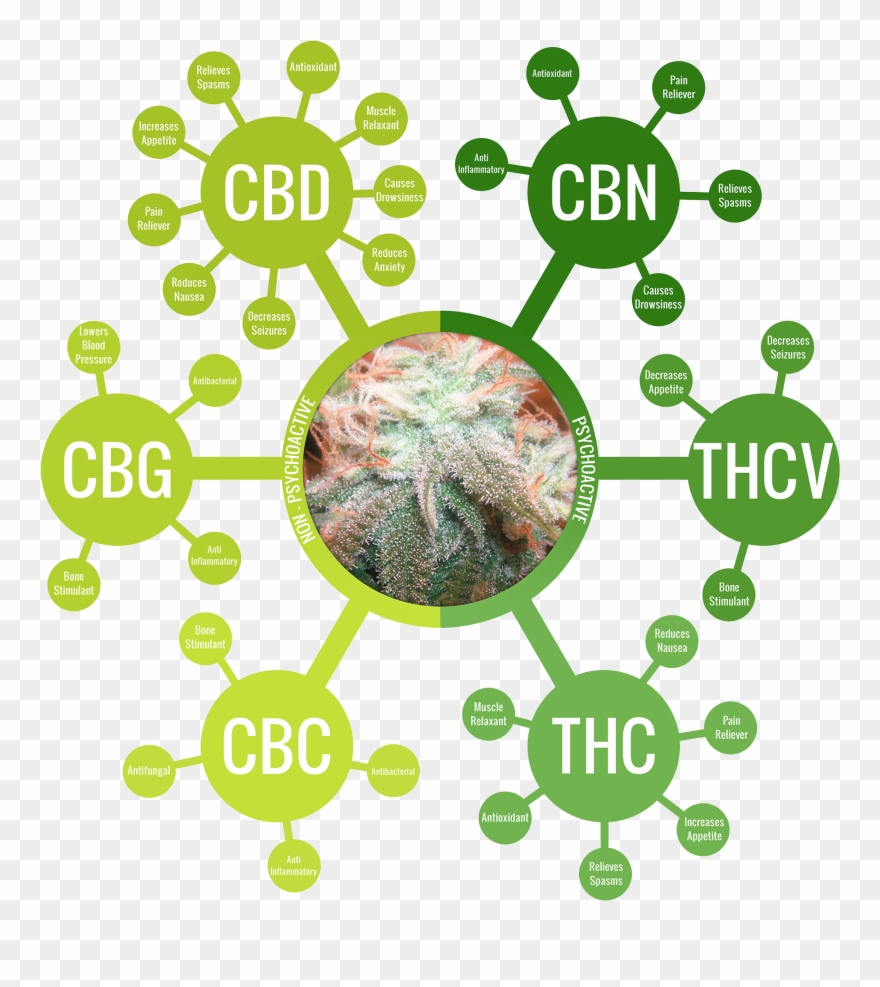 Alternatives For A Public Health Crisis And Minor Pains - Cbg Cannabinoid Clipart
