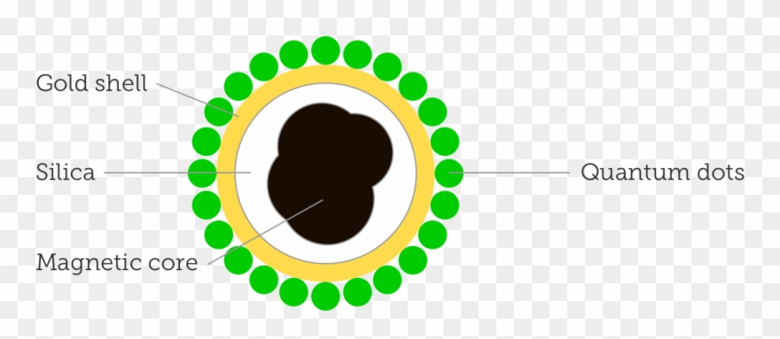 Iron Oxide Nanoparticles With A Diameter Of ~60 Nm - Magnetic Nanomaterials Quantum Dots Clipart