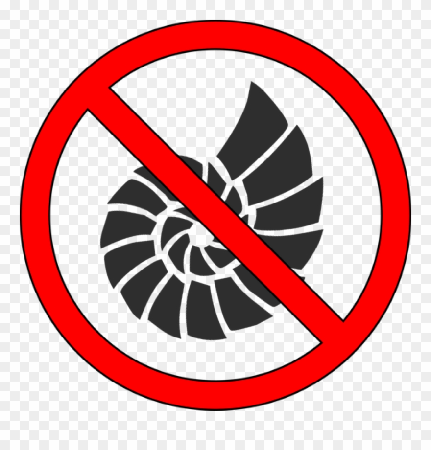 10 Marine Species That Need Protecting - Cosmic Shell Shower Curtain Clipart