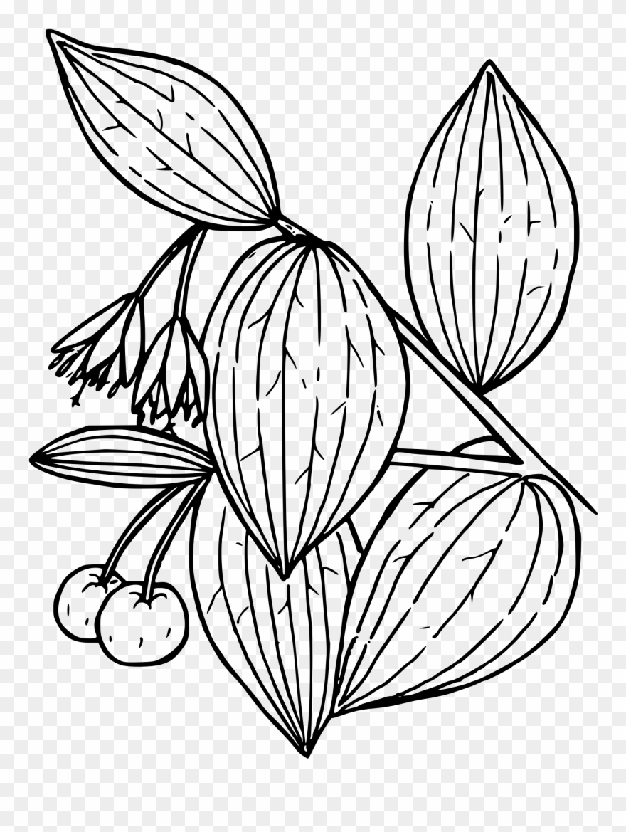 Bells Clipart