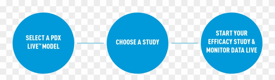 These Select Tumours Are Kept At Low Passage In Live - Corrosion Monitoring Clipart