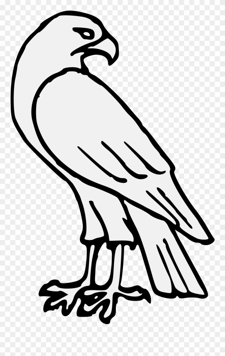 Pdf - Easy Falcon Drawing Clipart