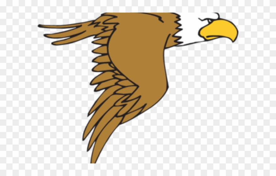 Peregrine Falcon Clipart - Bald Eagle Cartoon Png Transparent Png