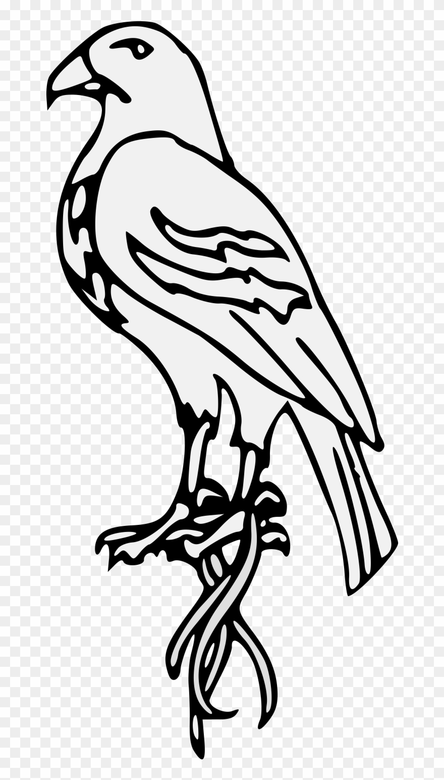 Pdf - Line Art Clipart