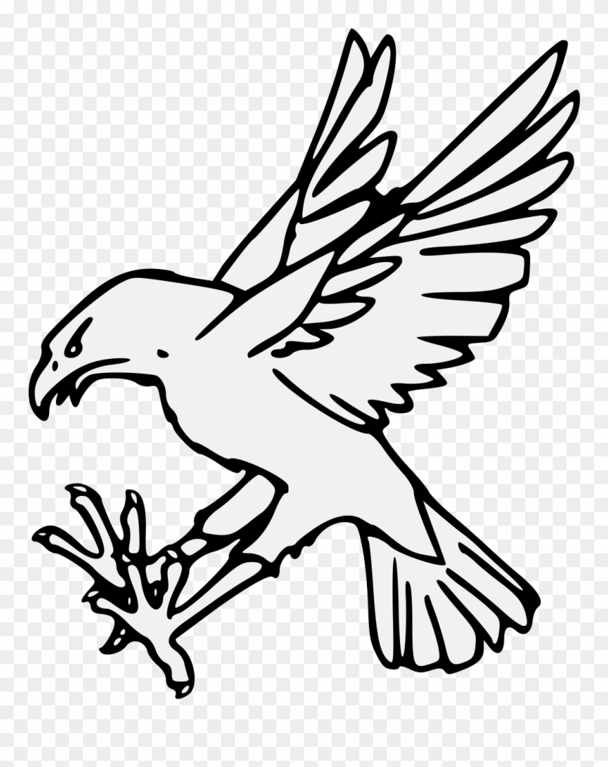 Pdf - Heraldic Falcon Clipart