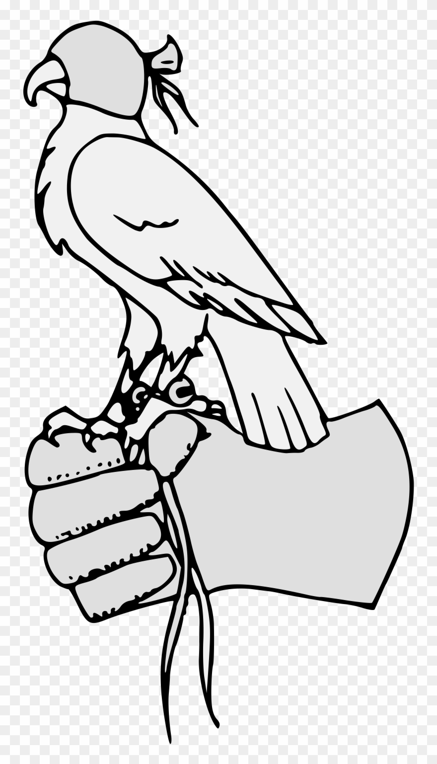 Pdf - Parrot Clipart