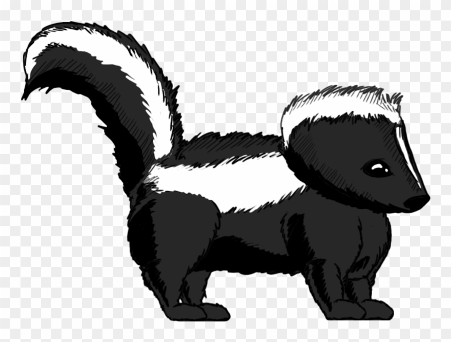 Skunk Clipart Striped Skunk - Transparent Skunk - Png Download