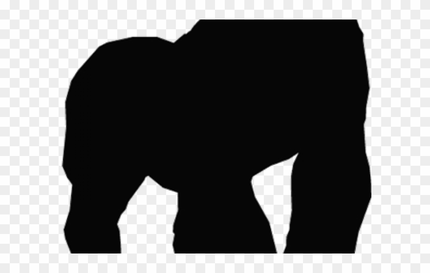 Gorilla Clipart Shadow - Bear - Png Download