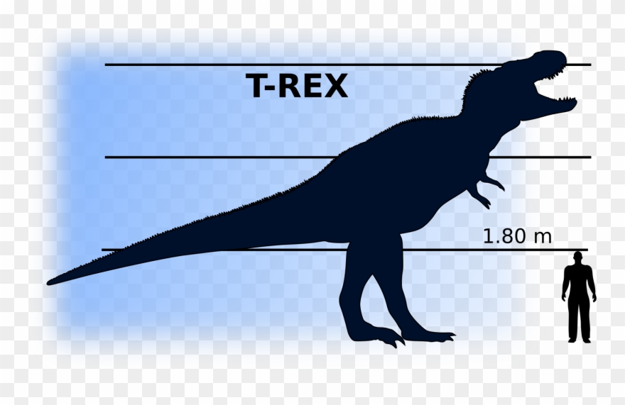 Big Image - Dinosaur Compared To Man Clipart