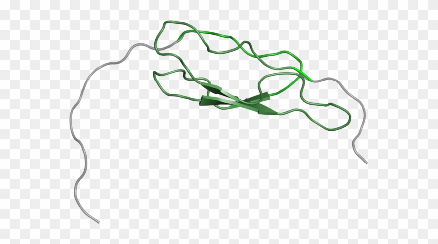 Line Art Clipart