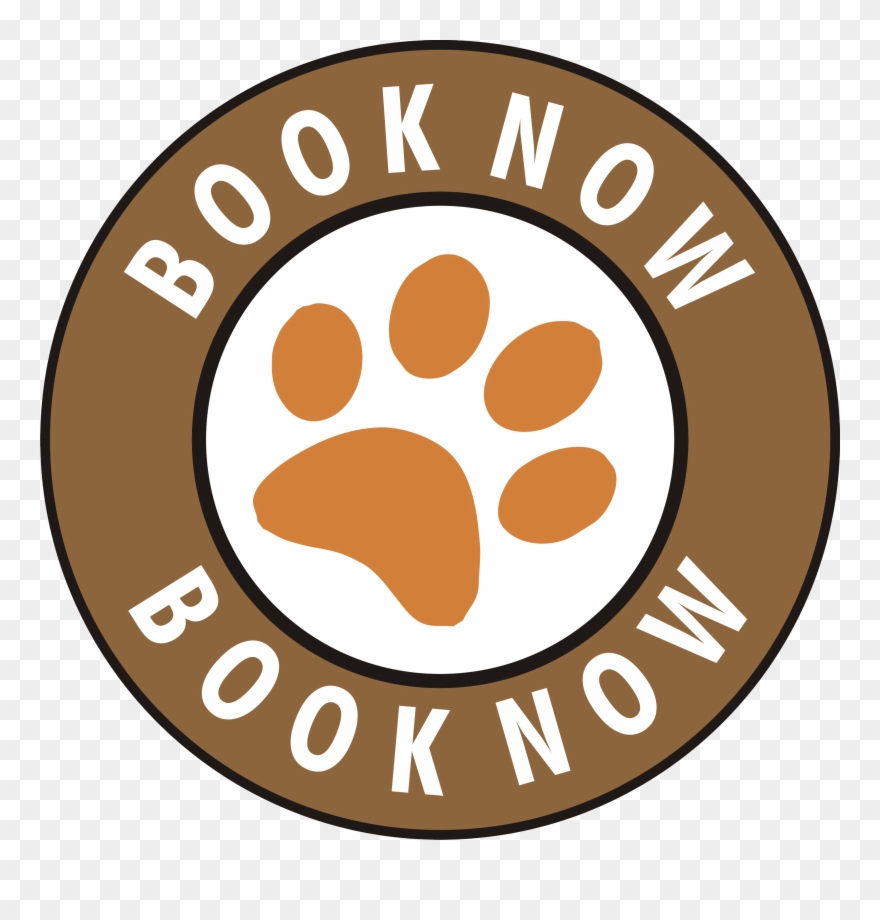 Some Text In The Modal - Digital Leaders Schools Clipart