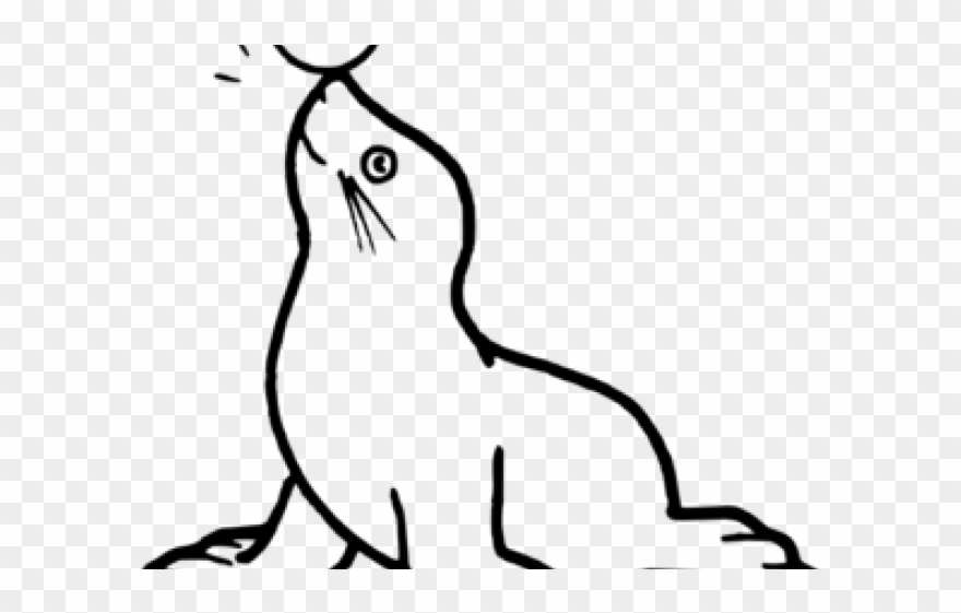 Leopard Seal Clipart Aquatic Animal - Template Of A Seal - Png Download