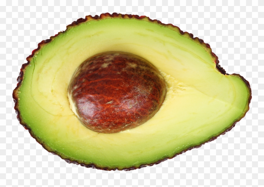 Avocado Half Clipart