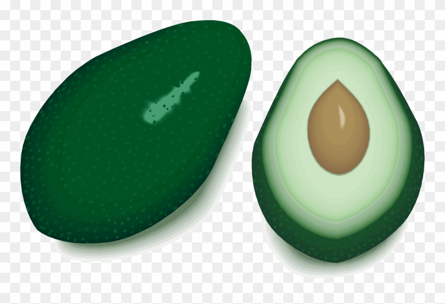 Avocado Clipart