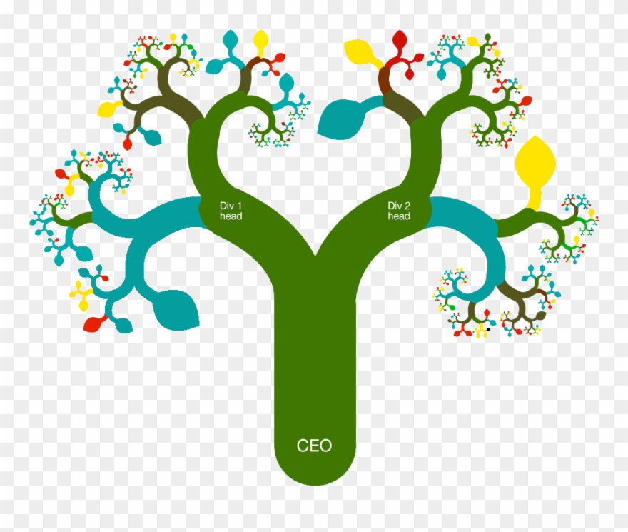 Organizational Snapshot Tree - Organization In A Tree Clipart