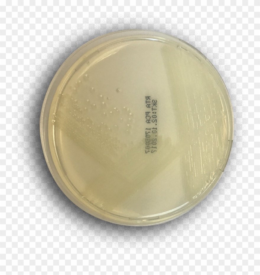 Plate Count Agar Rta Molecular Diagnostics And In Vitro - Molecular Diagnostics Clipart