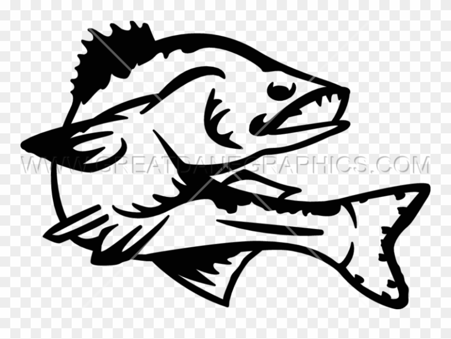 Walleye Vector Clipart Black And White Stock - Walleye Line Art - Png Download