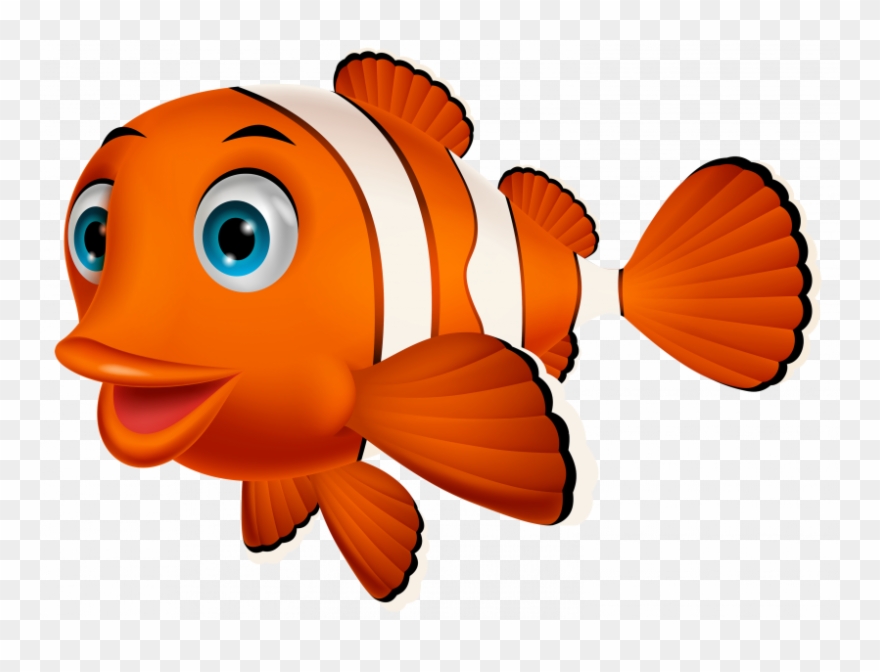 Clown Fish Png Clipart