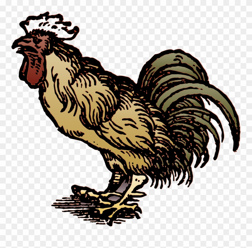 Grade Stem Lab Extra Of A And - Chicken & Tourist Attraction. Clipart