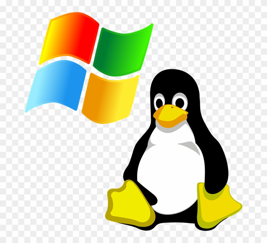 Microsoft Cliparts King - Simbolo De Un Pinguino - Png Download