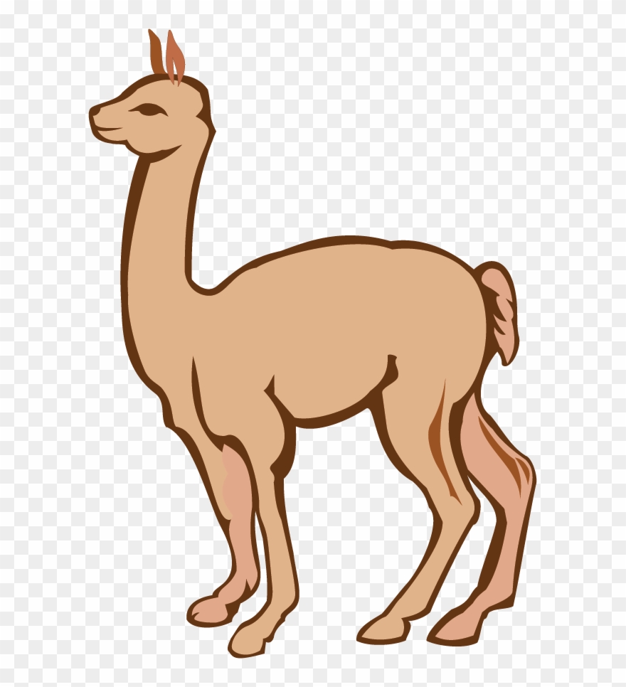 Alpaca Clipart