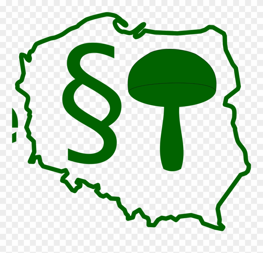 Open - Biało Czerwonamapa Polski Clipart