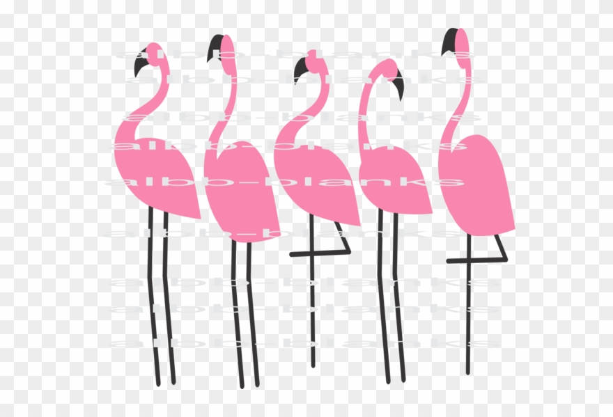 5 Flamingos - Flamingo Clipart