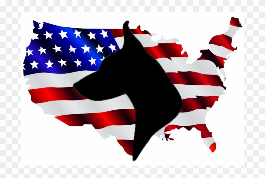 **we Do Require All Adopters To Fill Out An Application - Distressed High Resolution American Flag Clipart