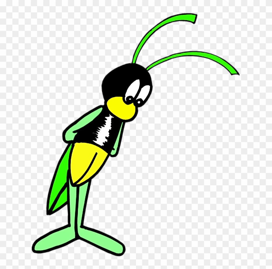 Jungle Bungalow - Linear Dichotomous Key Animal Kingdoms Clipart