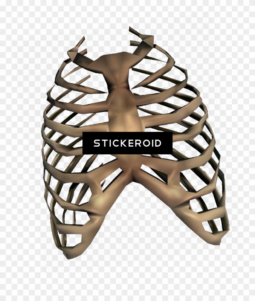Bones - Rib Cage Transparent Clipart