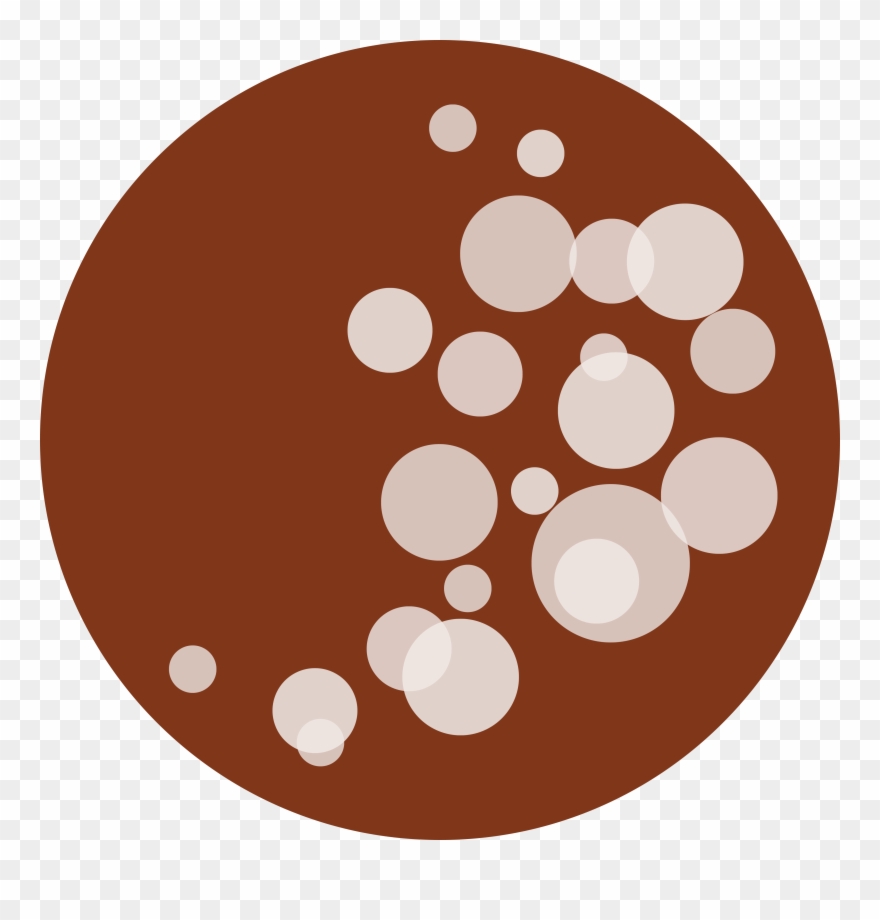 Culinary Travel, Made To Order - Blog Clipart