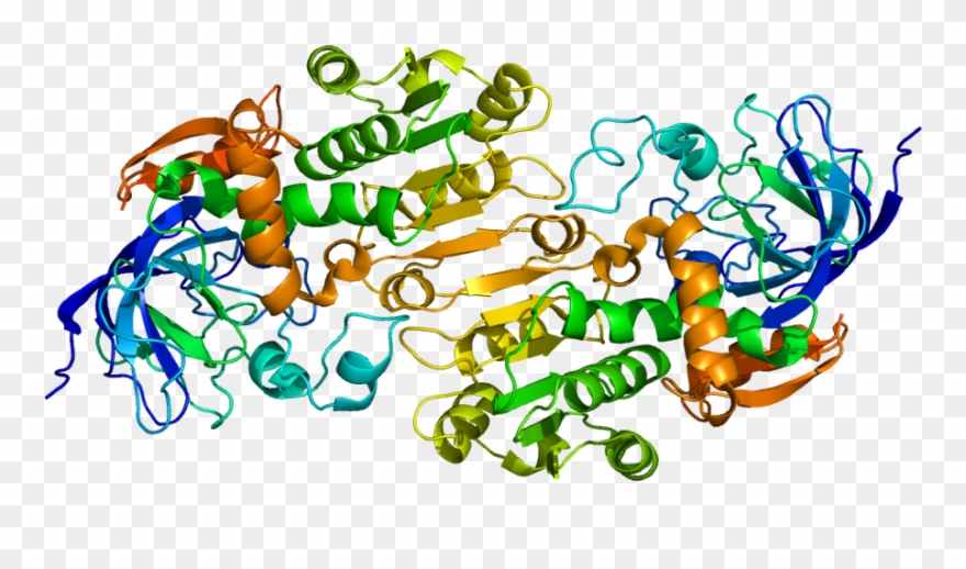 Alcohol Dehydrogenase Clipart