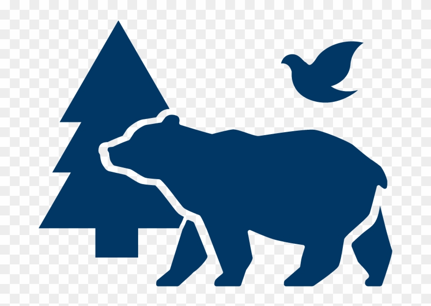 Biota - Search Engine Clipart