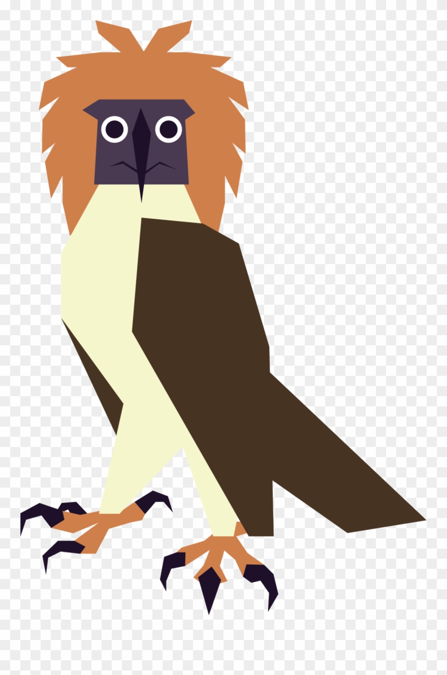 Anyone Else See How Silly Philippine Eagles Look Sometimes - Accipitriformes Clipart